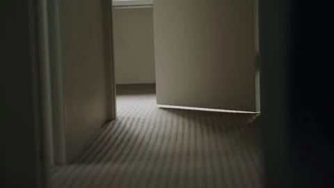 Open door at the end of dark house or apartment hallway with light coming in Stock Footage 290780685