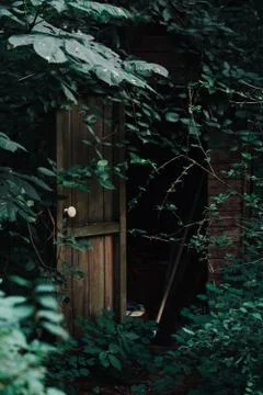 Open door in the forest Stock Photos