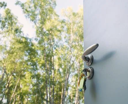 Open door Фото