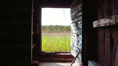 Open door view on the field from the inside of the farm 動画素材 130886840