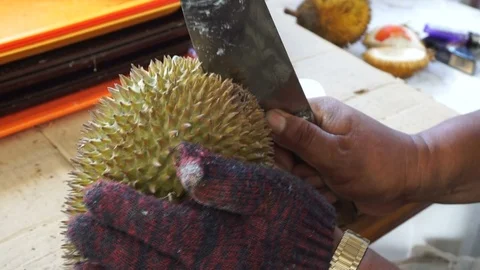 Open durian 스톡 동영상 95080000