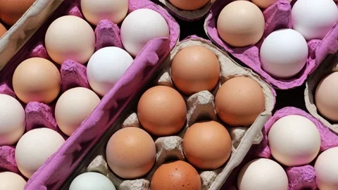 Open egg box with fresh organic colorful eggs in carton packs Stock Footage 204986572