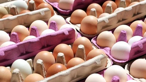 Open egg box with fresh organic colorful eggs in carton packs Stock Footage 204986680