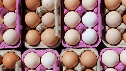 Open egg box with fresh organic colorful eggs in carton packs Stock Footage 204986872