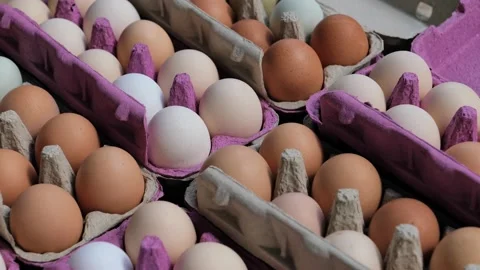 Open egg box with fresh organic colorful eggs in carton packs Stock Footage 204987006