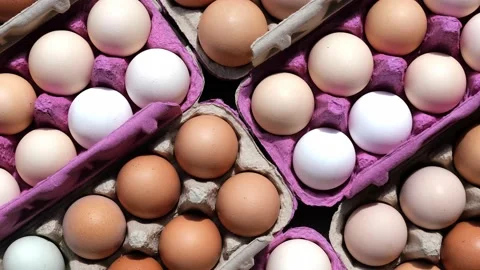 Open egg box with fresh organic colorful eggs in carton packs Stock Footage 204987028