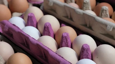 Open egg box with fresh organic colorful eggs in carton packs Stock Footage 204987083