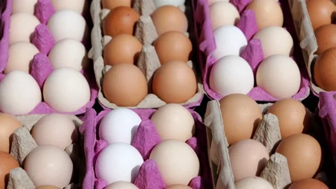 Open egg box with fresh organic colorful eggs in carton packs Stock Footage 204987137