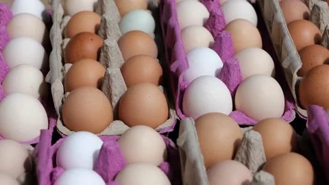 Open egg box with fresh organic colorful eggs in carton packs Stock Footage 204987151