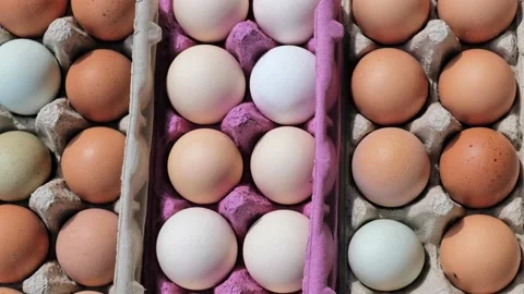 Open egg box with fresh organic colorful eggs in carton packs Stock Footage 204987246