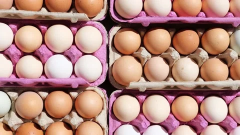 Open egg box with fresh organic colorful eggs in carton packs Stock Footage 204987406