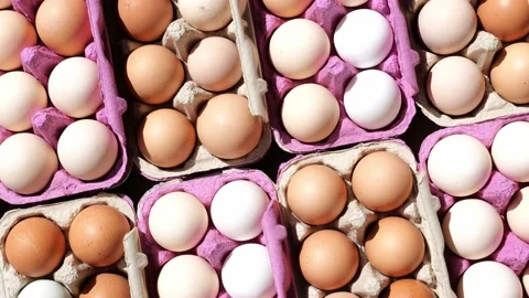 Open egg box with fresh organic colorful eggs in carton packs Stock Footage 204987413