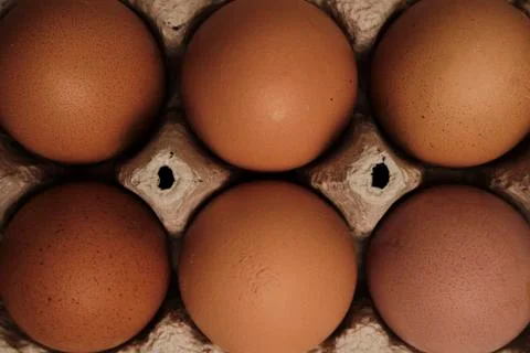 Open egg box with six brown eggs. Fresh organic chicken eggs in carton pack or Stock Photos