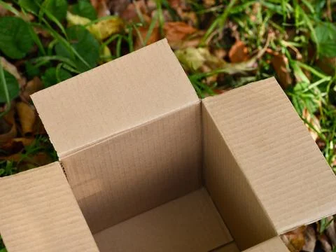 Open empty cardboard box placed on a grassy ground covered with autumn leaves. Stock Photos