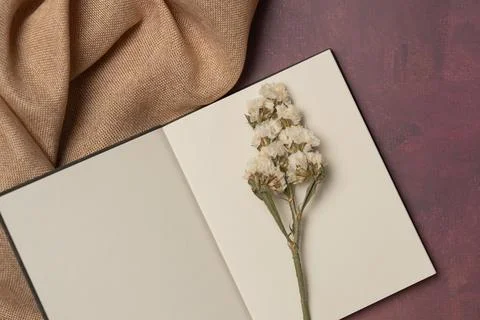 Open empty diary with flower and fabric on a burgundy background from above.. Stock Photos