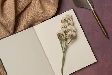 Open empty diary with flowers, quill pen and fabric on a burgundy background  Stock Photos
