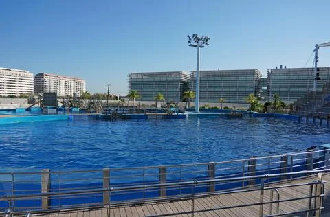 Open empty dolphinarium without people Illustrazione stock