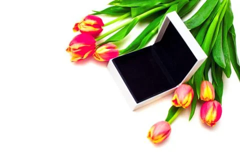Open Empty gift box for jewelry, spring tulips. Women gift concept Stock Photos