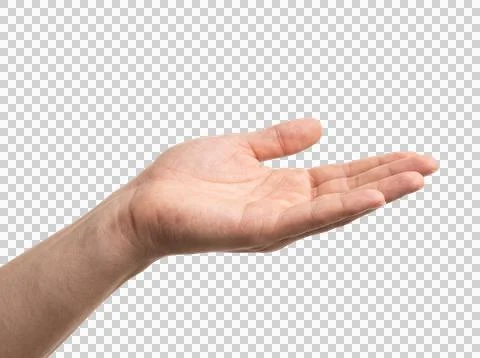 Open empty human hand palm up gesture isolated on transparent background cu.. Stock Photos