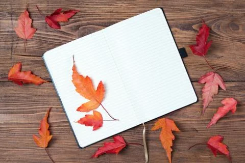 Open empty notebook and bright autumn leaves on wooden background, top view Stock Photos