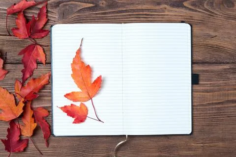 Open empty notebook and bright autumn leaves on wooden background, top view Foto stock
