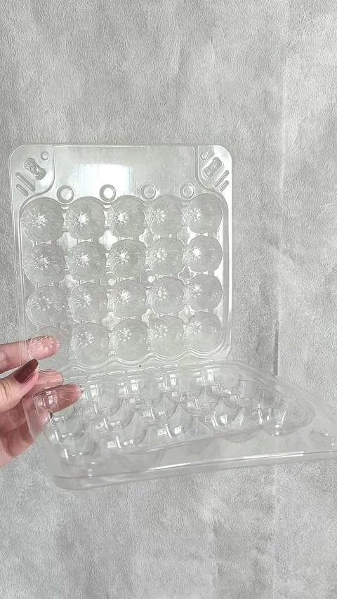 Open empty plastic quail egg tray in hand Video stock 332409885