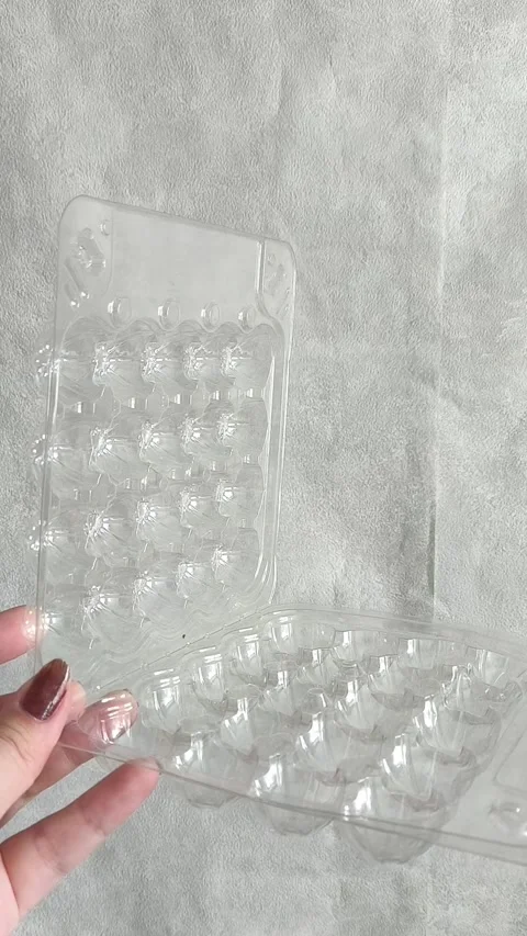 Open empty plastic quail egg tray in hand Stock Footage 332409905