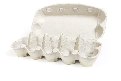 Open empty pulp egg carton on a white background Stock Photos