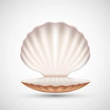 Open empty seashell icon isolated on a white background Stockillustratie