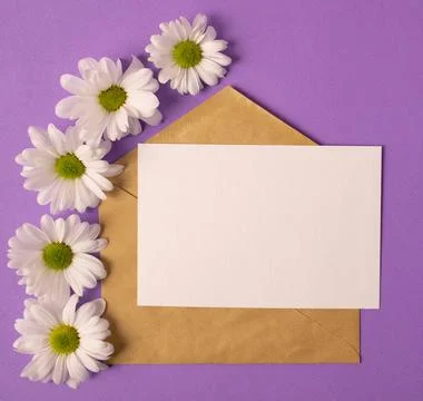 Open envelope with a blank sheet of paper and beautiful chrysanthemums Фото