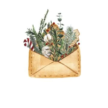 Open envelope with fir tree branches A monkey with an envelope. A letter for  Stock Photos