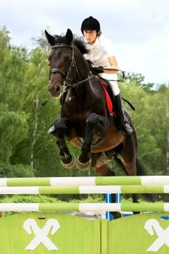 Open equestrian cup Stock Photos
