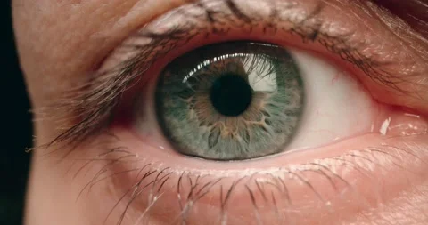 Open eye macro shot wide angle Stock Footage 168457290