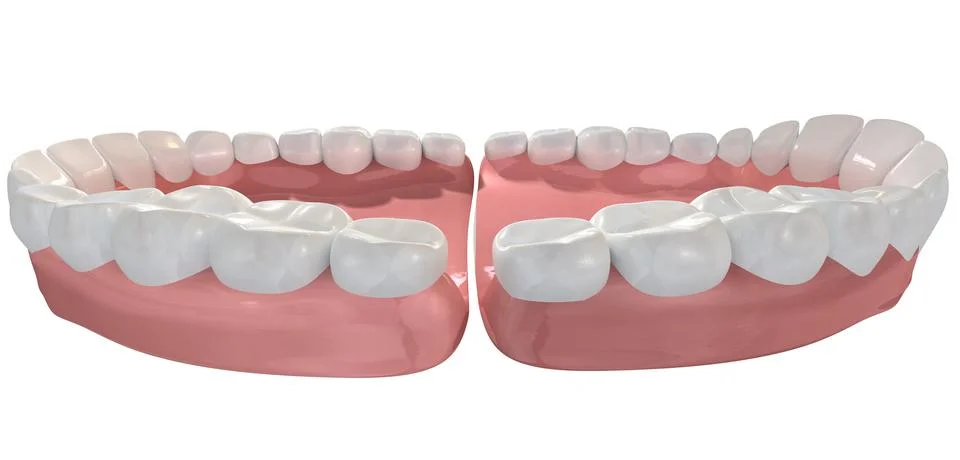 Open false human teeth extreme closeup Stock Illustration