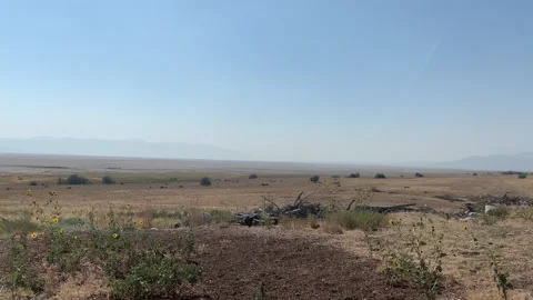 Open Feild with Fence HD Stock Footage 176006067