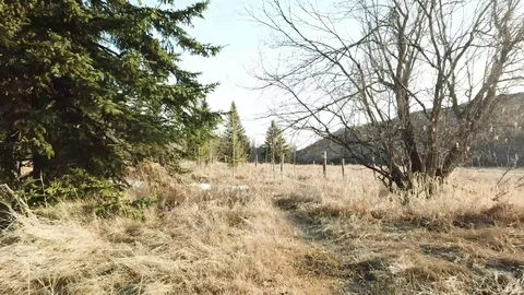 Open Field Aerial Stock Footage 89455638