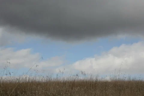 Open Field and Rolling Clouds Stock Footage