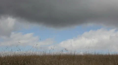 Open Field and Rolling Clouds 1080p Stock Footage 889220