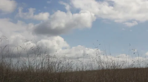 Open Field and Rolling Clouds 2 1080p Stock Footage 889283