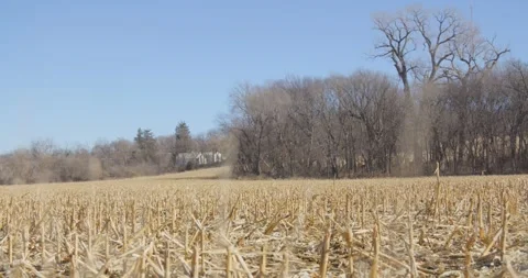 Open Field and Sky Video stock 234148858
