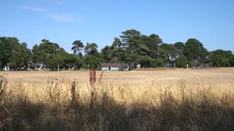 Open Field and Tranquility in Bournemouth Stock Footage 285278688
