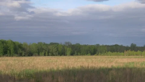 Open Field with Approaching Storm 스톡 동영상 78690746