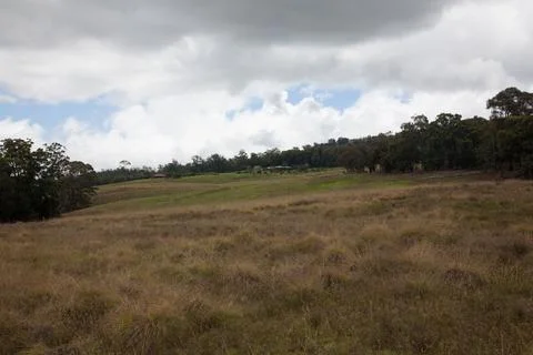 Open Field with Cloudy Sky and Tree Line Stock Photos