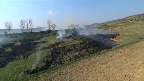 Open field fire overlooking a lake Vídeos de archivo 89639685