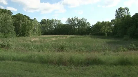 Open Field Video stock 11115179