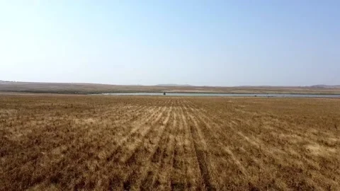 Open field Stock-Footage 166806820