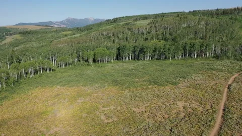 Open field 動画素材 296795320