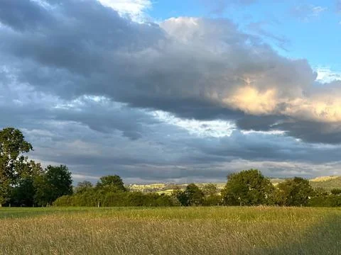 Open field with grass trees and cloudy sky during daytime Stock Photos