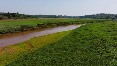 Open field green grass with harangi river, trees and sky at Garagandoor, coorg 스톡 동영상 336704470