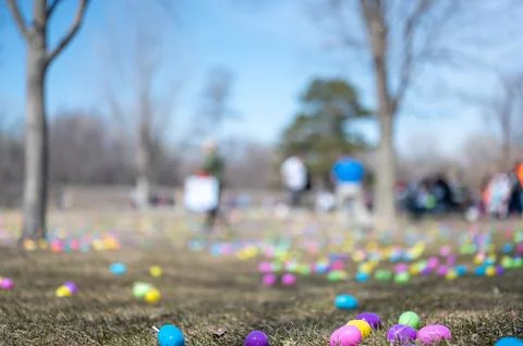 Open field with hundreds of plastic Easter eggs for a kids public hunt. Stock Photos